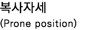 복사자세 (Prone position) 